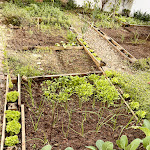 Photo n°8 de l'avis de Catarina.e fait le 26/11/2023 à 17:48 sur le  Palacete da Real Companhia do Cacau - Royal Cocoa Company Palace à Montemor-o-Novo