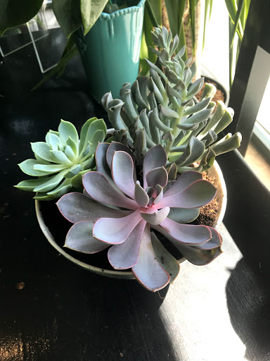 Florist «1-800-Flowers», reviews and photos, 397 Jericho Turnpike, Syosset, NY 11791, USA