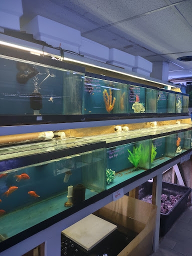 Pet Store «Fish Bowl Aquarium & Pet Mart», reviews and photos, 725 Providence St, West Warwick, RI 02893, USA