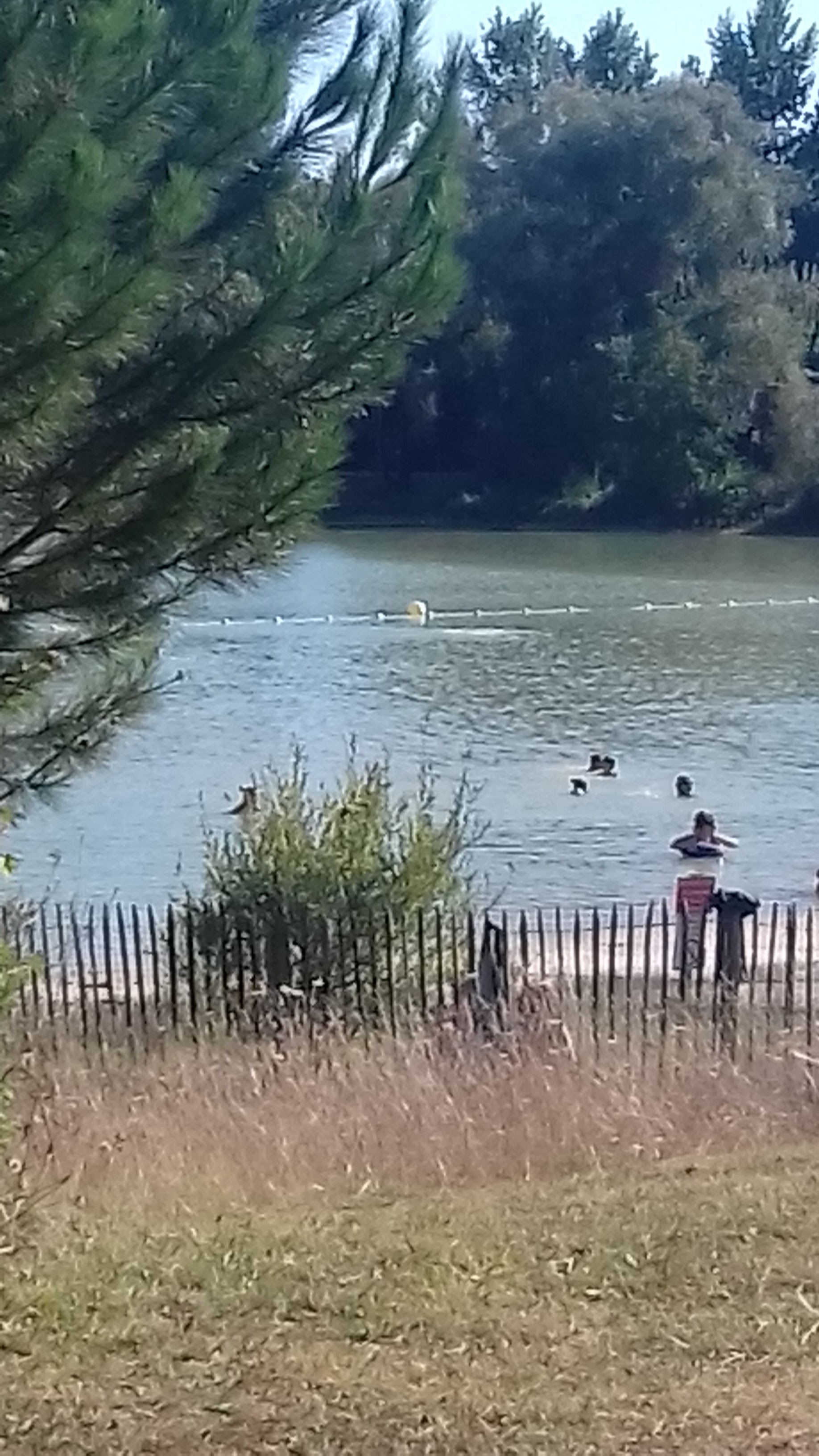 Photo n° 1 de l'avis de Florence.a fait le 21/08/2018 à 11:29