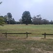 Victoria Park - dog park