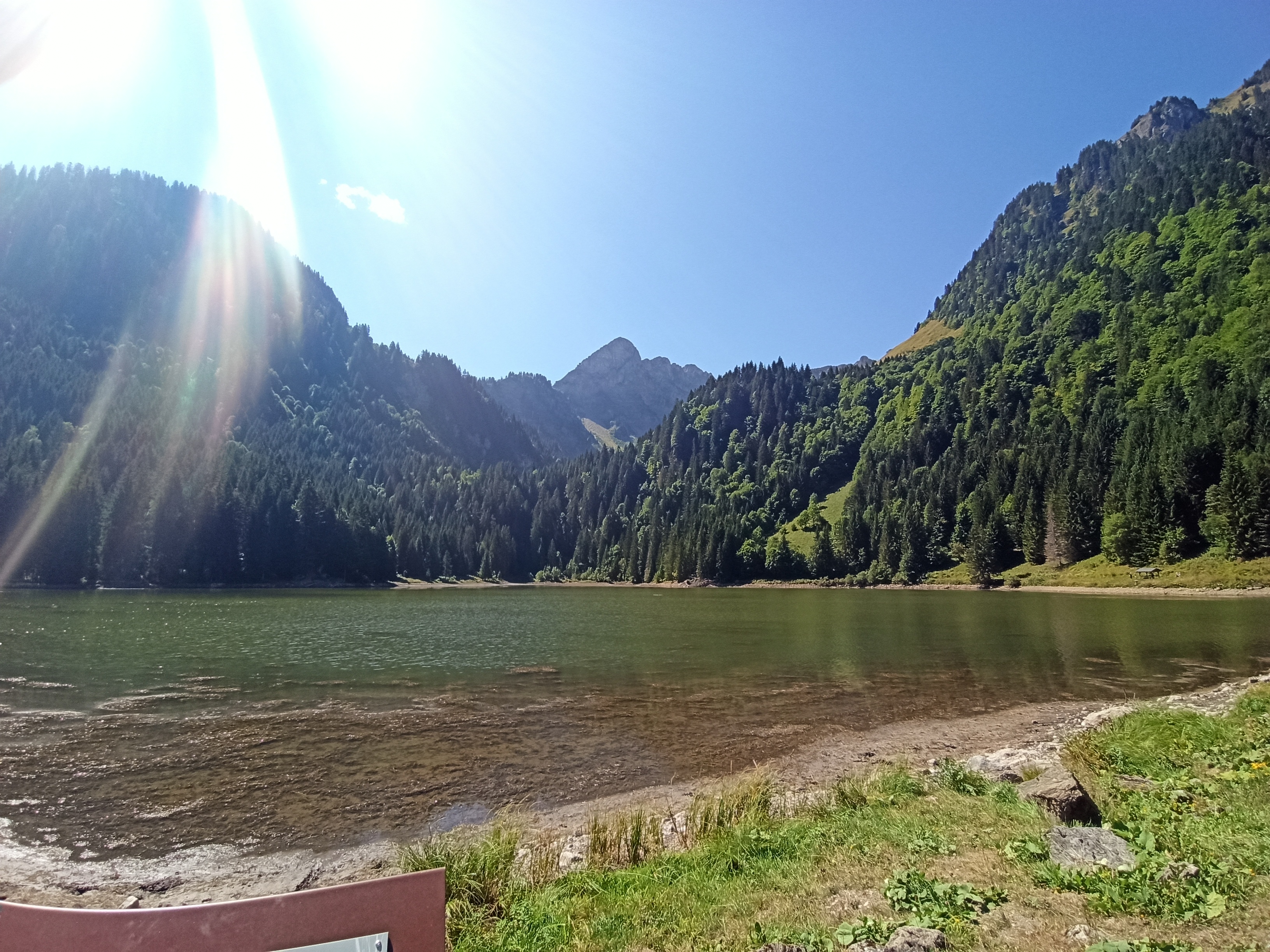 Photo n° 9 de l'avis de Ricou. fait le 16/08/2022 à 18:33