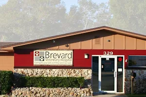 Brevard Veterinary Hospital image