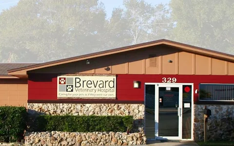 Brevard Veterinary Hospital image