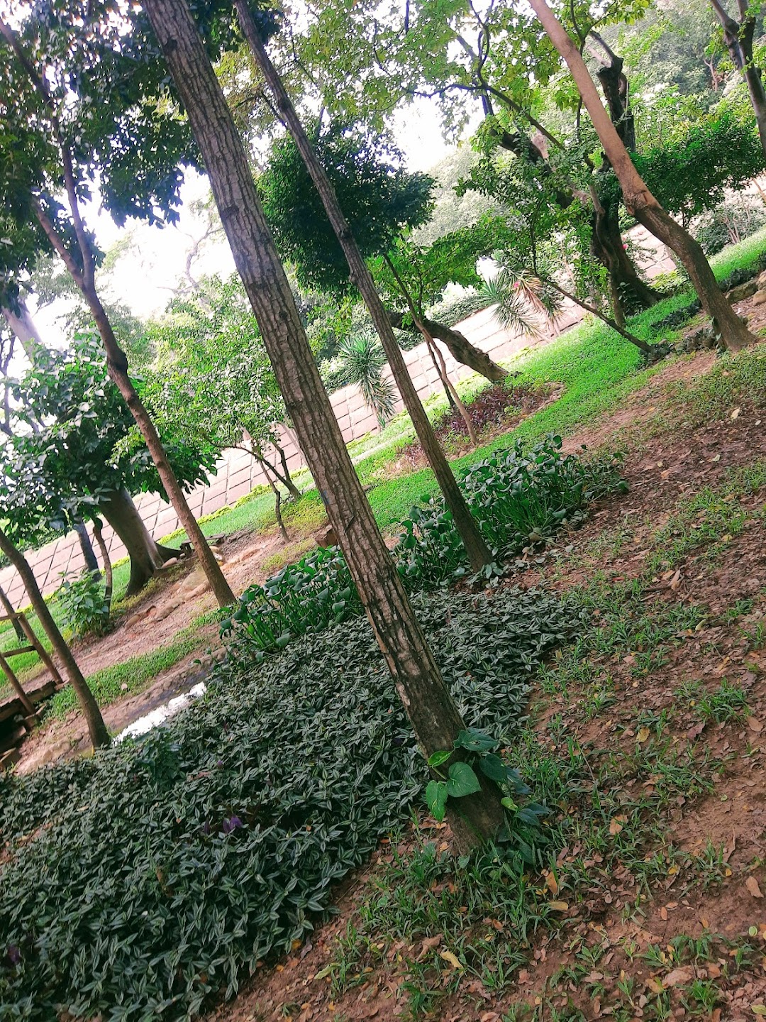 Parque de los Ingenieros
