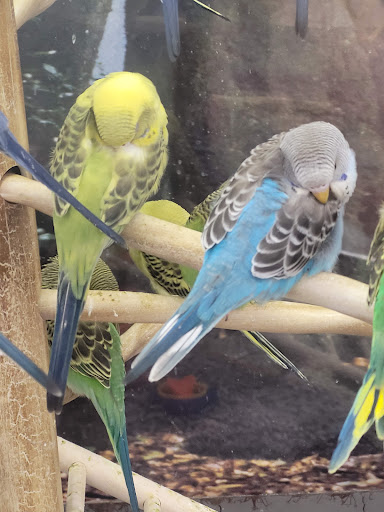 Pet Supply Store «Petco Animal Supplies», reviews and photos, 1215-1309 NJ-33 #1, Hamilton Township, NJ 08690, USA