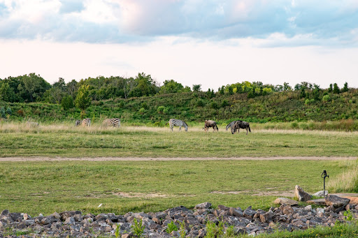 Animal farms in Columbus