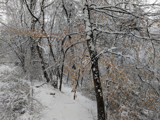 Chestnut Hill Trail Connector