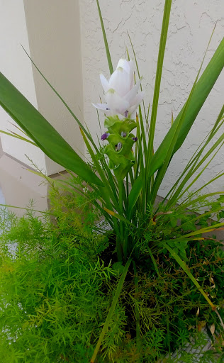 Attorney «Luhrsen Goldberg, LLC», reviews and photos