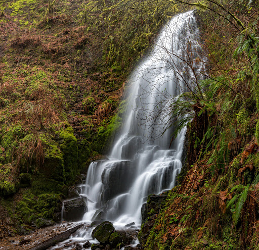 Tourist Attraction «Fairy Falls», reviews and photos, Wahkeena Trail #420, Corbett, OR 97019, USA