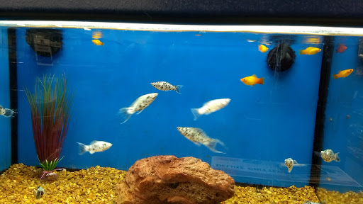 Pet Supply Store «Petco Animal Supplies», reviews and photos, 3731 Gateway Dr, Eau Claire, WI 54701, USA