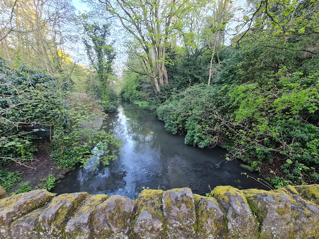 Comments and reviews of Jesmond Dene