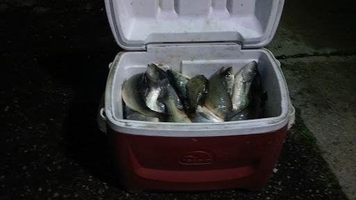 Liquor Store «Big Daddy Liquor Store», reviews and photos, 9191 Livernois Ave, Detroit, MI 48204, USA