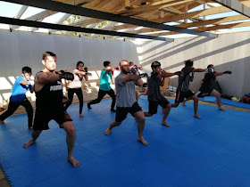 Solar Dojo: Centro de Entrenamiento, Investigación y Desarrollo en Salud, Métodos Marciales y Deporte.