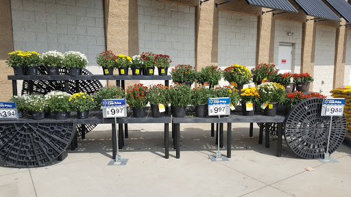 Discount Store «Walmart», reviews and photos, 1851 Bunker Lake Blvd NW, Andover, MN 55304, USA