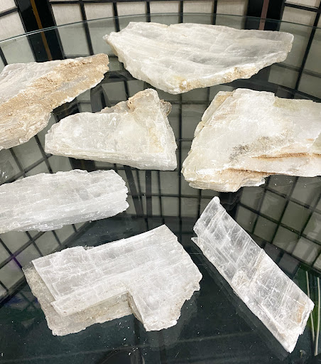 Explore tiger shark tattoo ideas, creative tattoo ideas in Oswego, available at Bodified