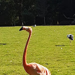 Photo n° 7 de l'avis de Cécile.o fait le 03/08/2021 à 11:03 pour Parc animalier et botanique & Parcabout de Branféré à Le Guerno