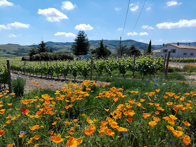 Terre des Lièvres à Saint-Étienne-la-Varenne
