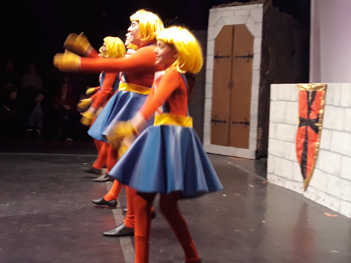 Performing Arts Theater «SALT Performing Arts at The Theatre at Yellow Springs», reviews and photos, 1645 Art School Rd, Chester Springs, PA 19425, USA