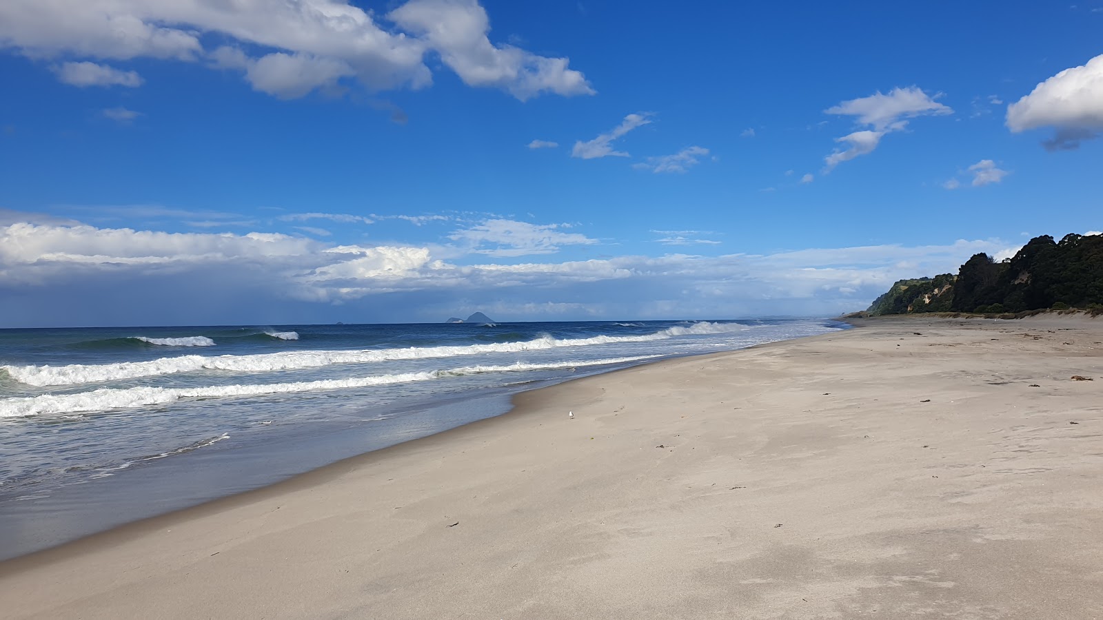 Foto di Pikowai Beach con una superficie del acqua cristallina