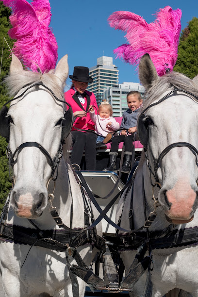 Melbourne Horse and Carriage (Unique Carriage Hire)