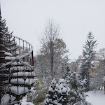 Photo n°7 de l'avis de Sabine.r fait le 04/12/2023 à 21:30 sur le  Zum Frongut à Burgstädt