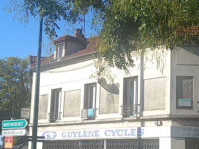 Le Cygne Doccasion Bar Tabac Bradu Lion à Épinay-sur-Seine