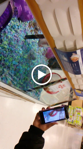 Pet Supply Store «PetSmart», reviews and photos, 1390 N Dupont Hwy, Dover, DE 19901, USA