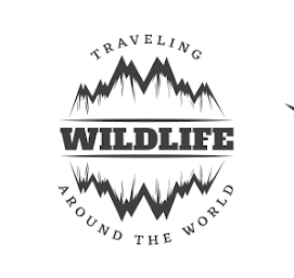 Photo n°1 de Gear 181 à Vacheresse ()