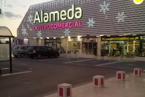 Alameda Shopping Center image