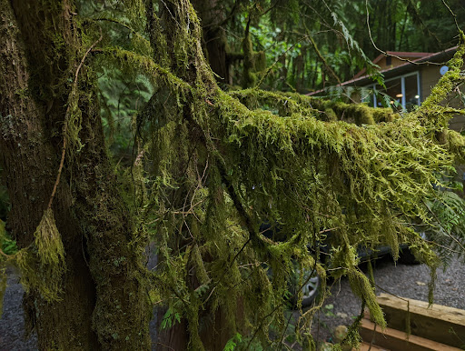 Non-Profit Organization «Audubon Society of Portland», reviews and photos, 5151 NW Cornell Rd, Portland, OR 97210, USA