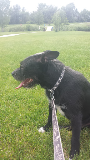 Park «Expo Park», reviews and photos, 10955 E Exposition Ave, Aurora, CO 80012, USA