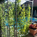 Photo n°1 de l'avis de Elena.i fait le 10/07/2020 à 13:26 sur le  Hotel Motel & Residence S - Front à Front