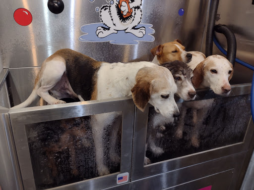 Pet Groomer «Belly scRubs Self Service Pet Wash», reviews and photos, 119 WV-34 #1, Hurricane, WV 25526, USA