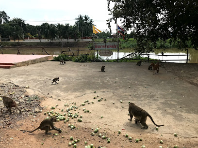 สวนลิง Monkeys at Wat Thammikawat