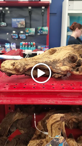 Pet Supply Store «Petco Animal Supplies», reviews and photos, 4175 Dowlen Rd, Beaumont, TX 77706, USA