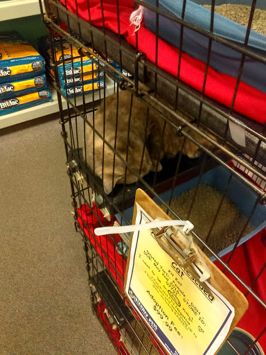 Pet Store «Friendly Pets», reviews and photos, 625 Friendly Center Rd, Greensboro, NC 27408, USA