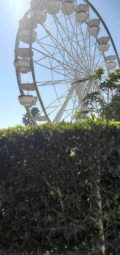 Sporting Goods Store «Nike Factory Store», reviews and photos, 71 Aquarium Way, Long Beach, CA 90802, USA