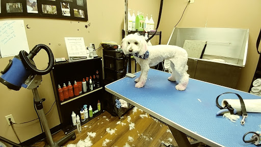 Pet Store «Pet Valu», reviews and photos, 2645 Shillington Rd, Sinking Spring, PA 19608, USA