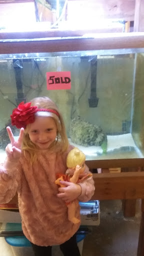 Tropical Fish Store «Aquaria Masters», reviews and photos, 411 Tia Juana St, Colorado Springs, CO 80909, USA