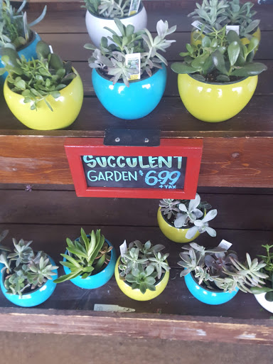 Shopping Mall «Roseville Square Shopping Center», reviews and photos, 413 Roseville Square, Roseville, CA 95678, USA