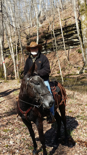 Horseback Riding Service «Long C Trails», reviews and photos, 8959 Hanes Rd, Westmoreland, TN 37186, USA