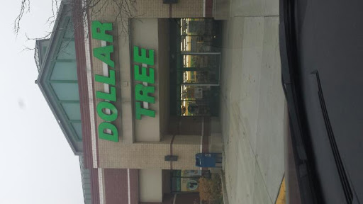 Dollar Store «Dollar Tree», reviews and photos, 1243 E Higgins Rd, Schaumburg, IL 60173, USA