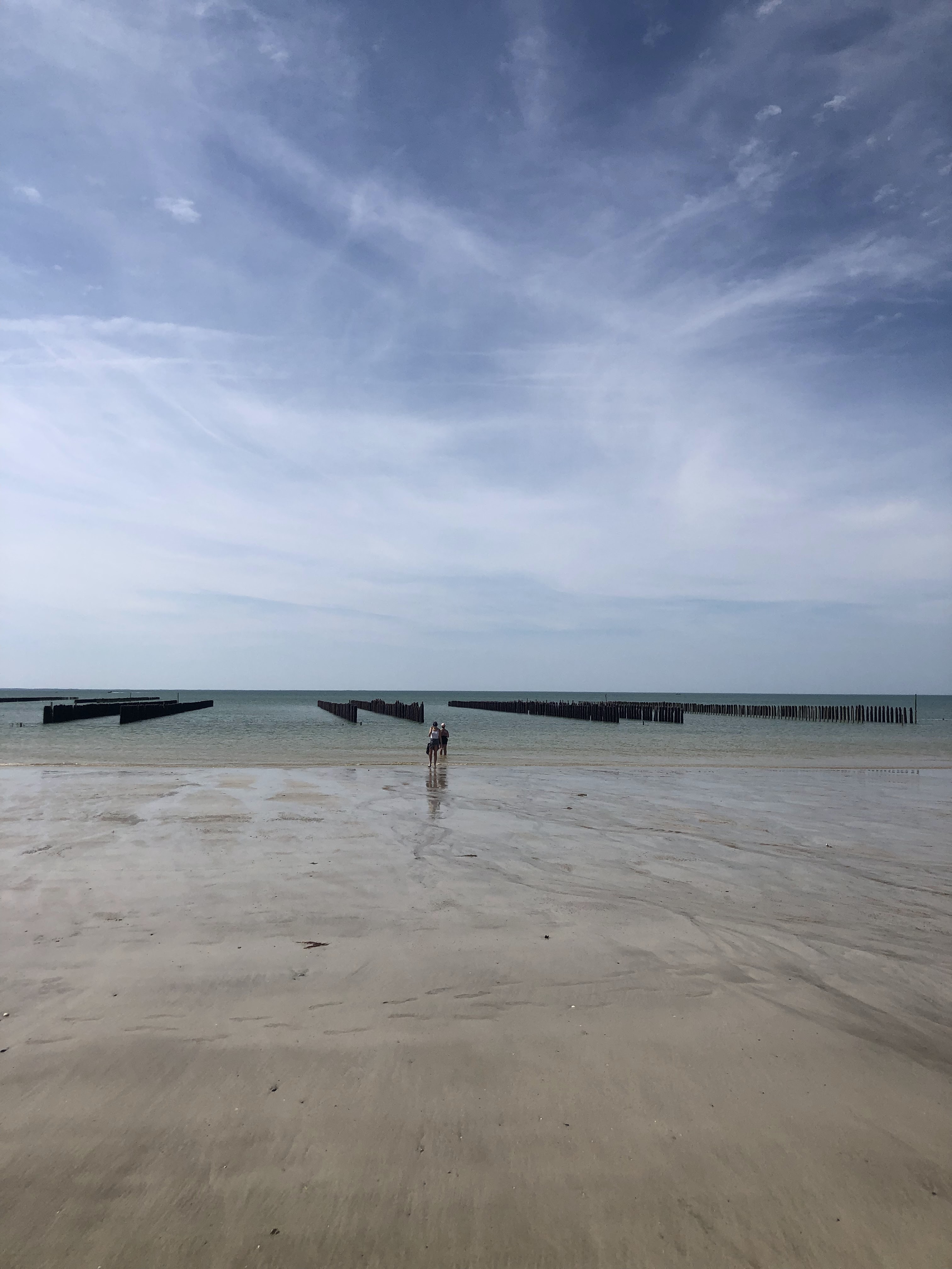 Photo n° 2 de l'avis de arno. fait le 10/05/2024 à 16:10