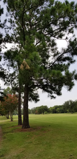 Golf Course «Sharpstown Country Club», reviews and photos, 6600 Harbor Town Dr, Houston, TX 77036, USA