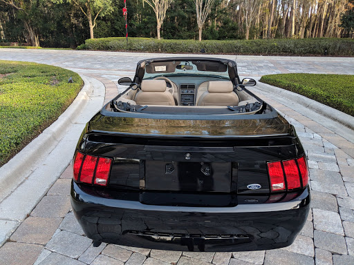 Used Car Dealer «M & M And Sons Auto Sales», reviews and photos, 17604 US-41, Lutz, FL 33549, USA