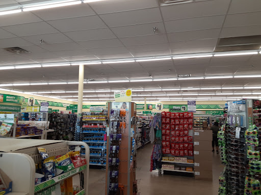 Dollar Store «Dollar Tree», reviews and photos, 534 10th St e, Floresville, TX 78114, USA