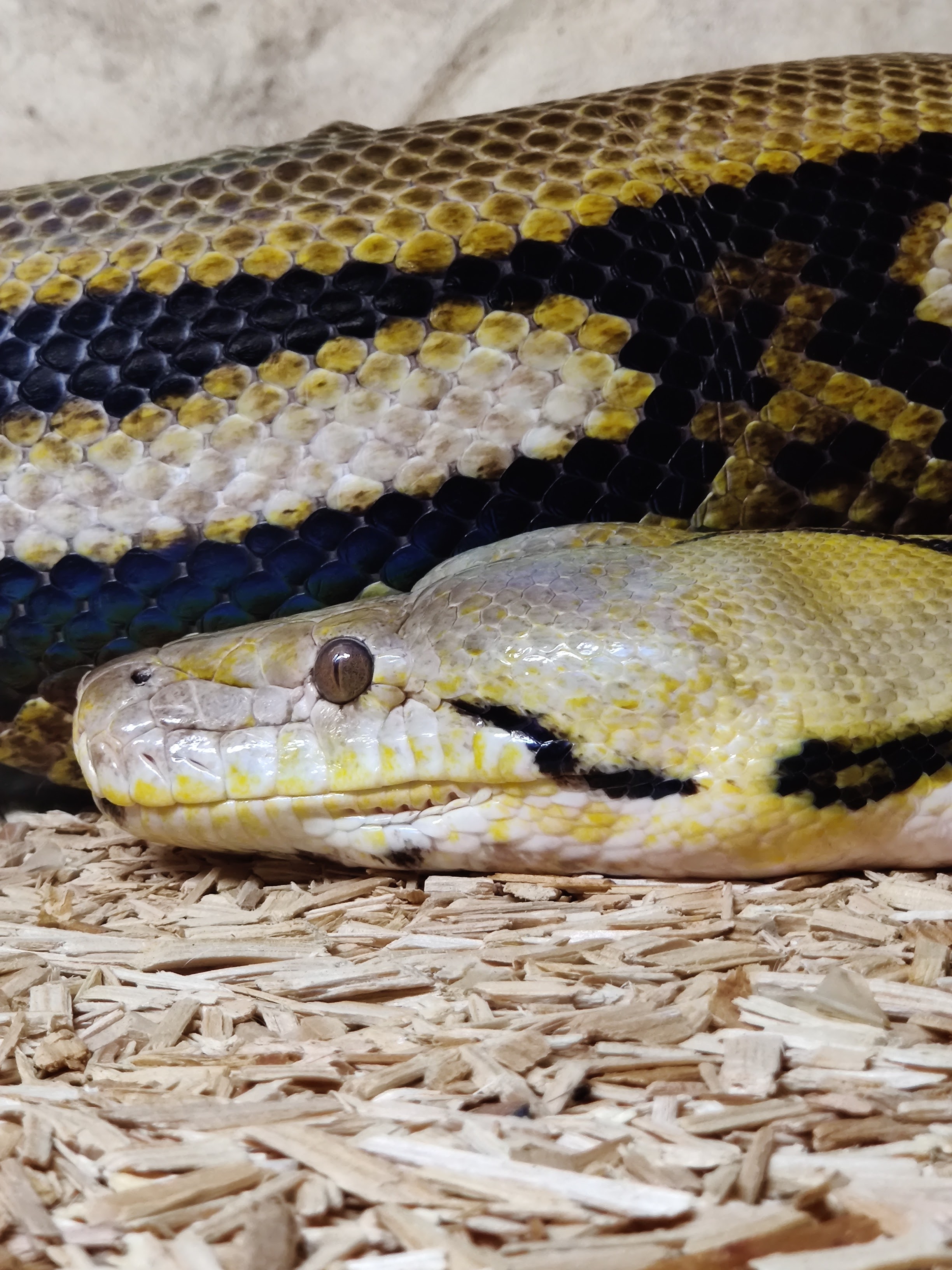 Photo n° 4 de l'avis de Julien.� fait le 20/06/2020 à 15:58