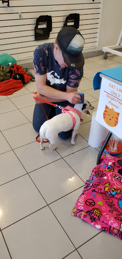 Car Dealer «Fox Negaunee Chrysler Dodge Jeep Ram», reviews and photos, 701 US-41, Negaunee, MI 49866, USA