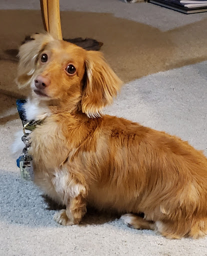 Pet Store «Pet Town», reviews and photos, 51 WA-300, Belfair, WA 98528, USA